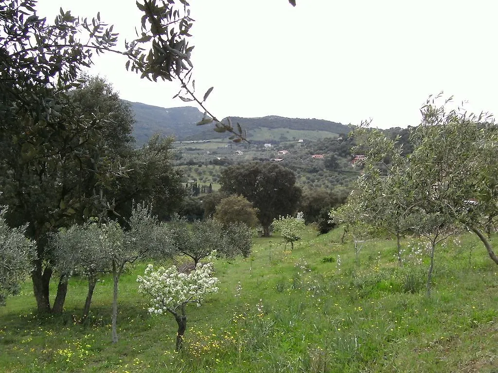 Bed & Breakfast B&B Valli Verdi Alghero Italy